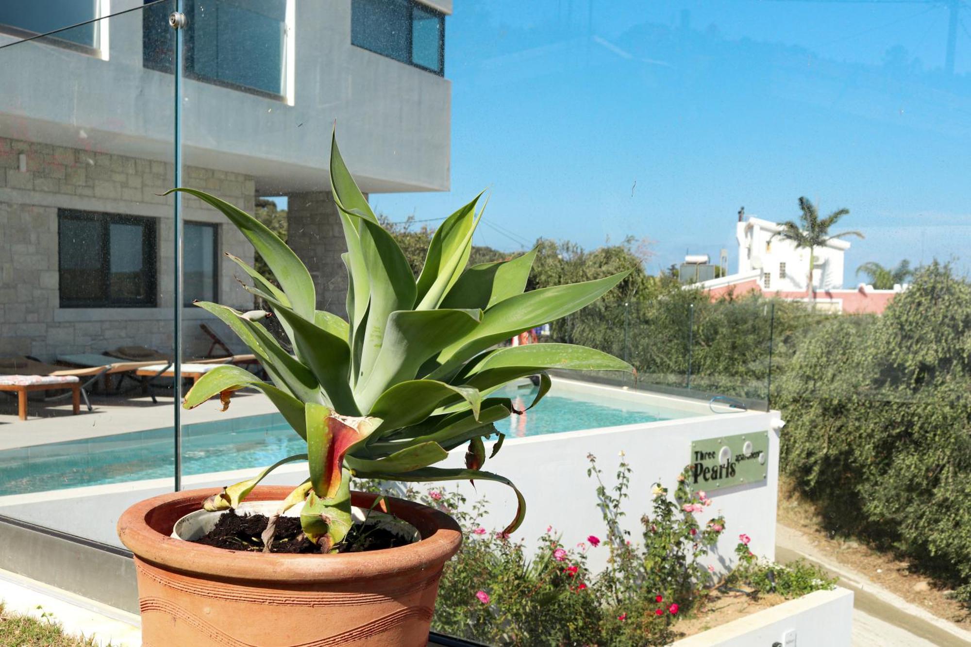 Cream Cozy Getaway - 3 Pearls Pool Retreat Apartment Dempla Екстериор снимка