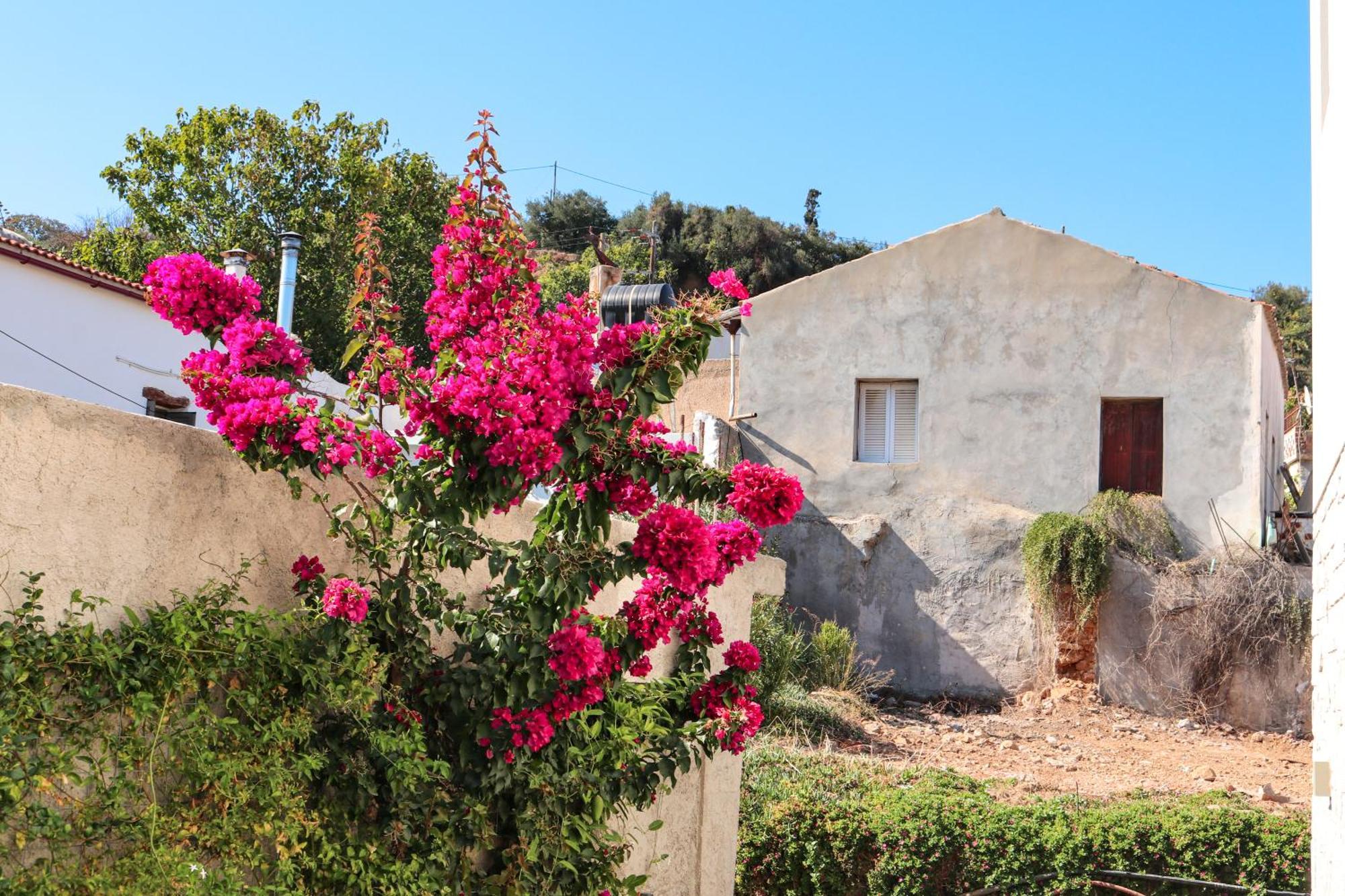 Cream Cozy Getaway - 3 Pearls Pool Retreat Apartment Dempla Екстериор снимка